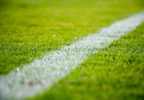 The Ultimate Guide to the Best Sports Pubs in Broward County, FL